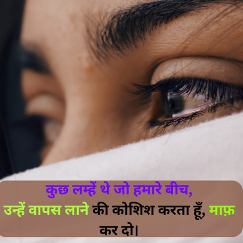 sorry love shayari in hindi​